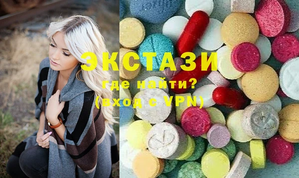 шишки Няндома