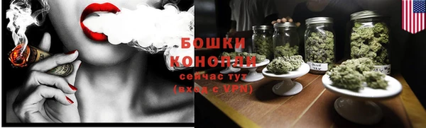 шишки Няндома