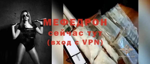 шишки Няндома
