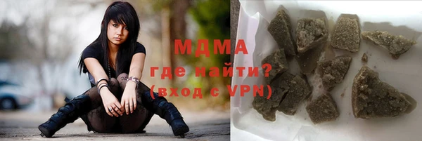 шишки Няндома