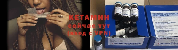 шишки Няндома
