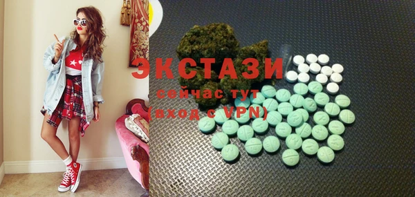 шишки Няндома