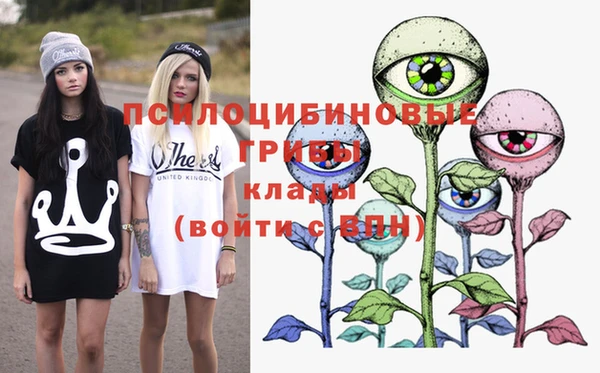 шишки Няндома