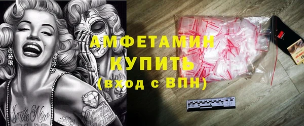 шишки Няндома