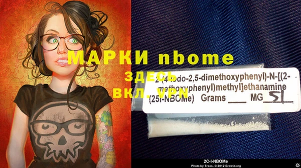 шишки Няндома