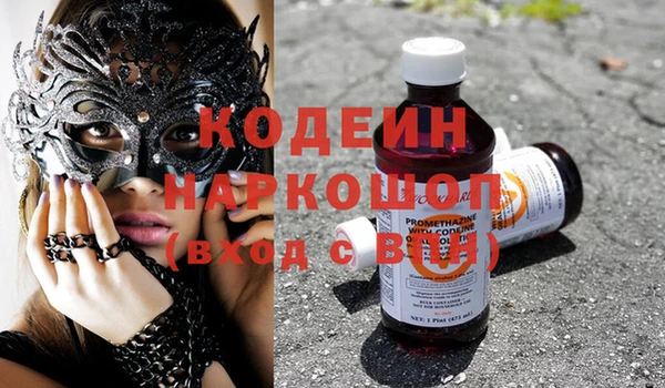 шишки Няндома