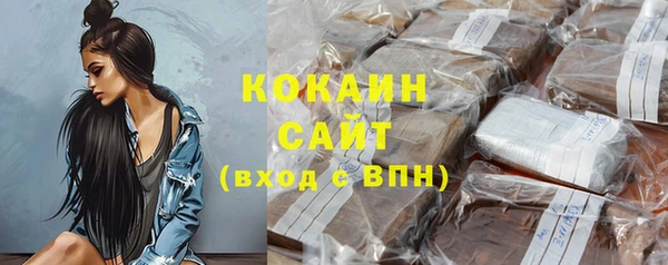 шишки Няндома