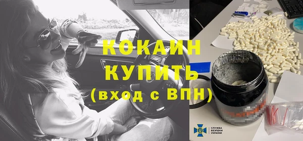 шишки Няндома