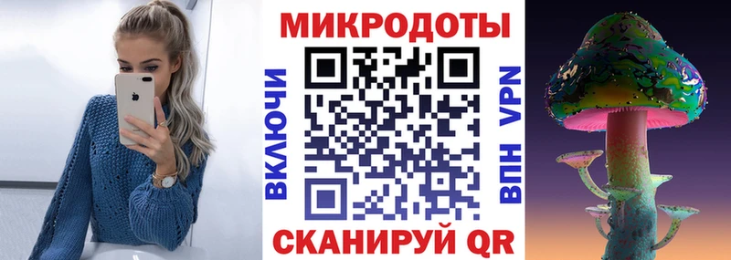 Галлюциногенные грибы Psilocybine cubensis  Олонец 